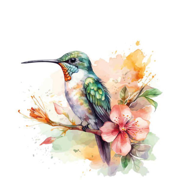 Cuadros Canvas COLIBRI EN PASTEL